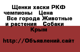 Щенки хаски РКФ чемпионы › Цена ­ 90 000 - Все города Животные и растения » Собаки   . Крым